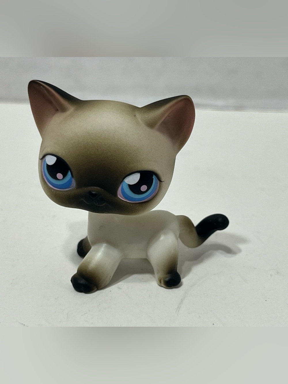 LITTLEST PET SHOP Siamese short hair cat #5
